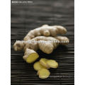 Shandong Fresh Fresh Ginger Price